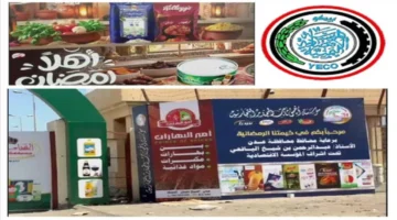 سلة غذائية لموظفي التعليم عدن.. قرار بصرف مكرمة سعودية لجميع العاملين بوزارة التربية